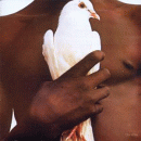 The Very Best of Santana